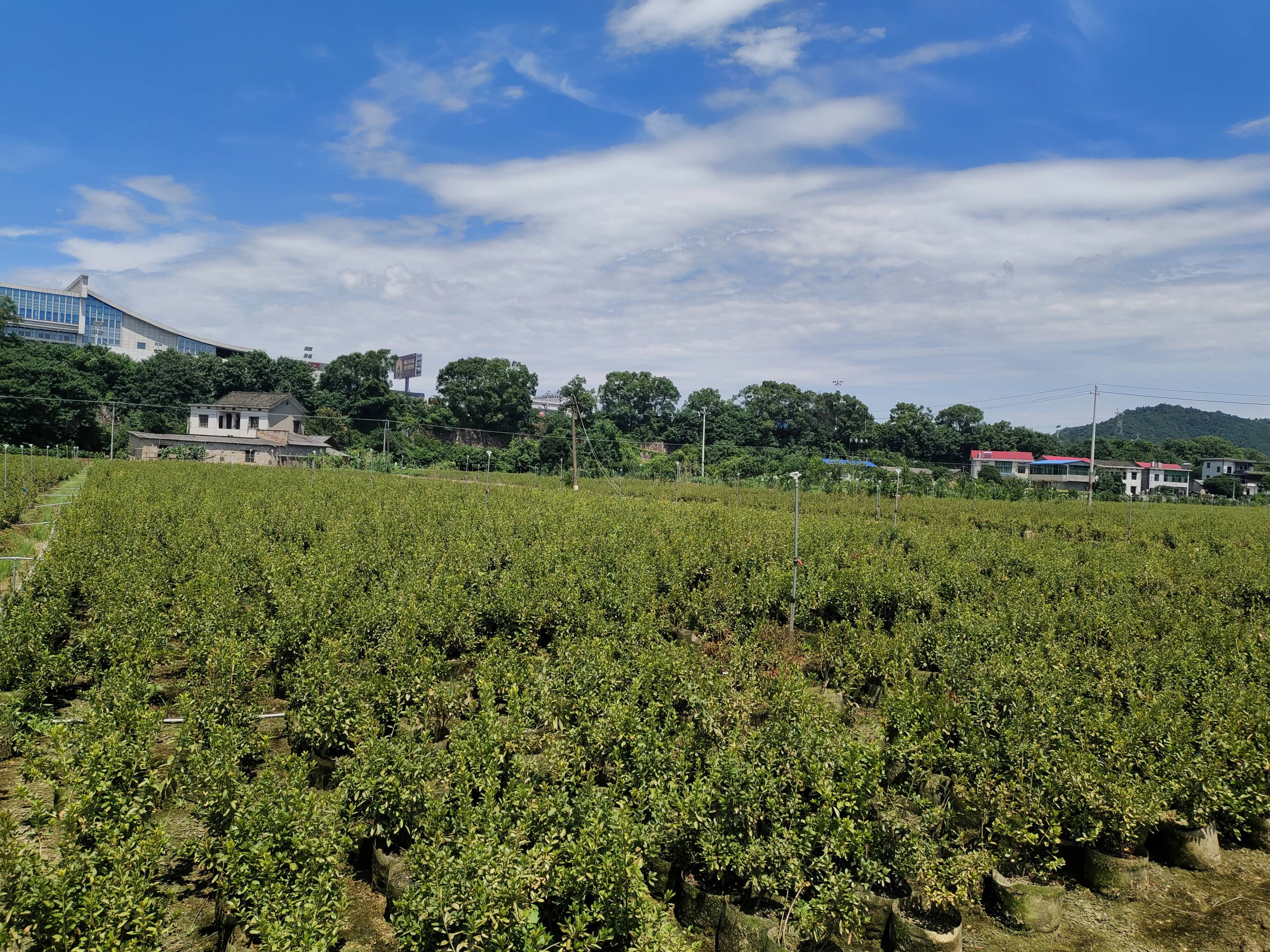 942f892079104e5fb3967710fb51d52d.jpg 942f892079104e5fb3967710fb51d52d.jpg