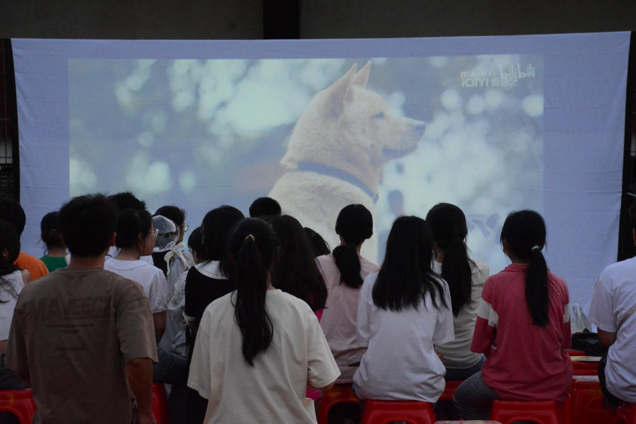 46954d090f2d4f1e934a89cdd6902bbd.png 图片2.png